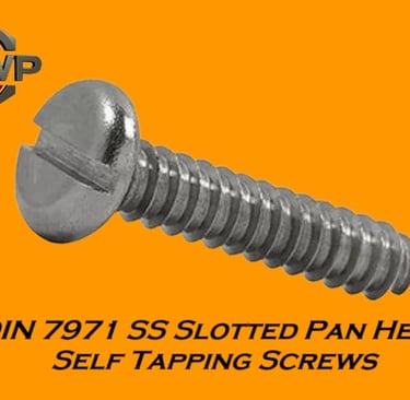 DIN 7971 Slotted Pan Head Tapping Screw