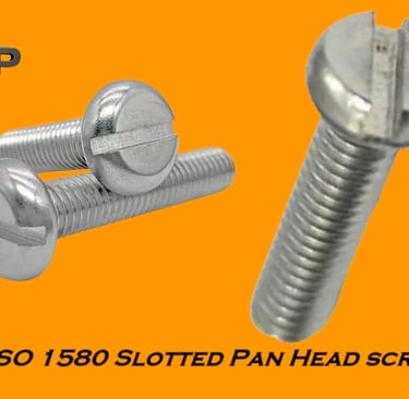 DIN 85 Slotted Pan Head Screw
