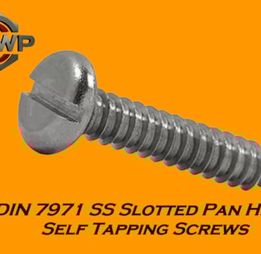 DIN 7971 Slotted Pan Head Tapping Screw