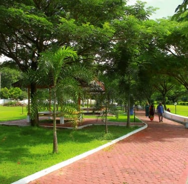 Tenneti Park, Top Photo and video shooting locations in Vizag