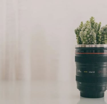 Cacto plantado dentro de caneca em formato de lente de câmera.