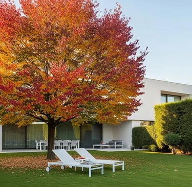 Liquidambar de gran tamaño en otoño