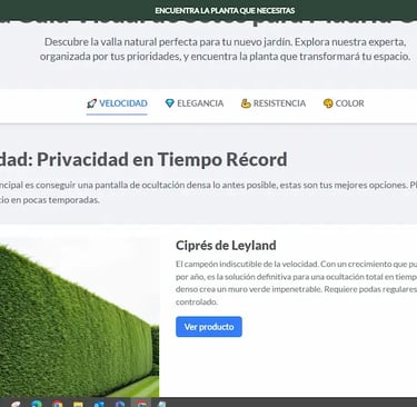 uan guía interactiva para conocer las mejores plantas para formar un seto en Madrid