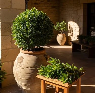 Un clásico para la cocina y el jardín, Laurel Real