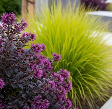 Loropetalo y carex de fondo en jardín moderno