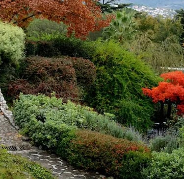 el uso de cubresuelos y tapizantes para consolidar el terreno y dar belleza al jardín