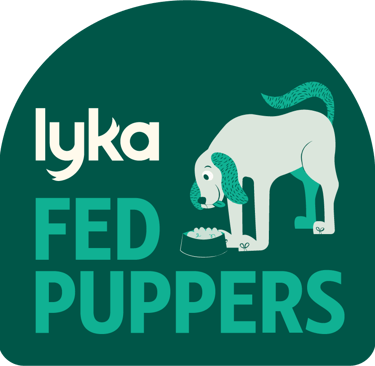#lyka #bordercollies lyka foods dog food raw natural feeding 