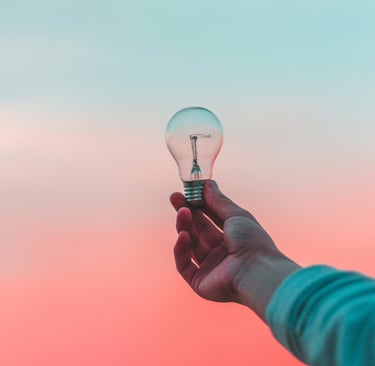 a person holding a light bulb in their hand
