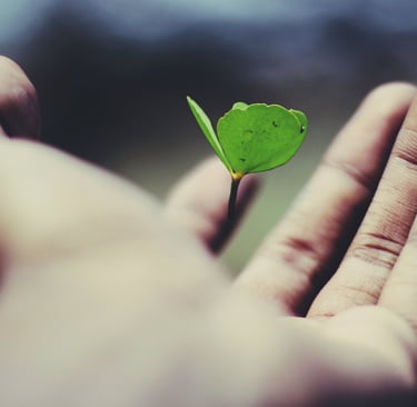 A hand with a small leaf bud floating above it