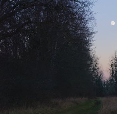 Les quatre saisons d'une haie, un film documenat