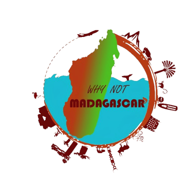 Logo of Why Not Madagascar agency