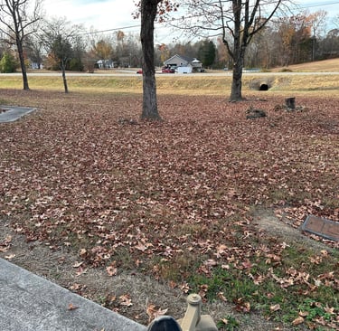 fall and spring cleanups