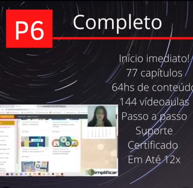 Resumo do curso completo de Primavera P6