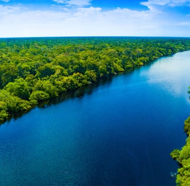 Preservation of the brazilian Amazon rainforest