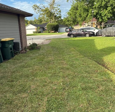 after resod Jacksonville FL