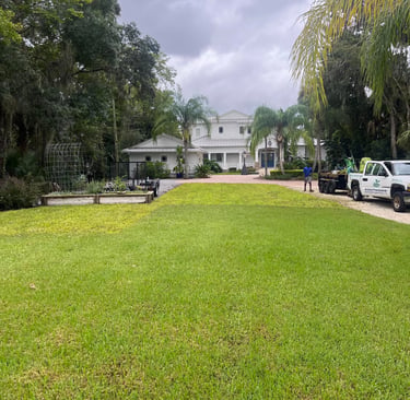 after resod Palm valley Fl 