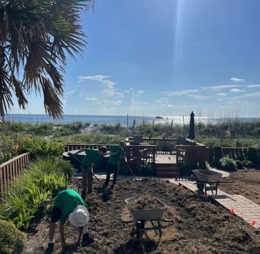 before resod Atlantic beach Fl