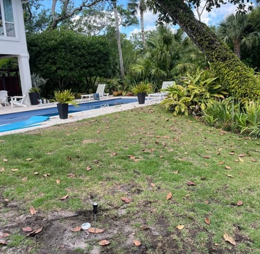 before landscaping in Ponte Vedra Beach Fl