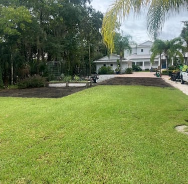 before resod Palm valley Fl 