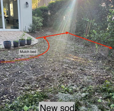 Before professional landscaping