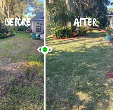 Sod installation Jacksonville FL