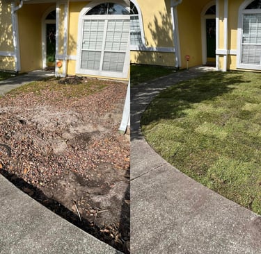 Resod Jacksonville FL