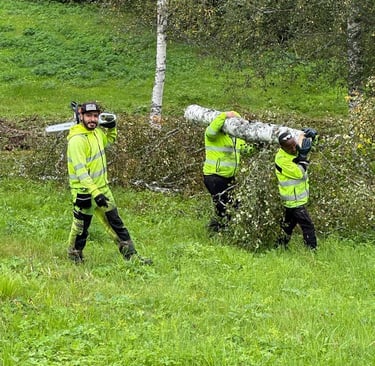 Gräsklippning i Kramfors. ,Trädgård Härnösand,. trädfällning Örnsköldsvik, Rent i Höga Kusten