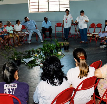 Roda de estudo de Plantas Bairro Moreira César 1994