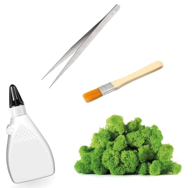 a bunch of broccoli and scissors, brush, tweezers and glue on a white background