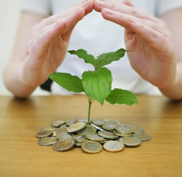 a person holding a plant in their hands, and there are coins under the tree