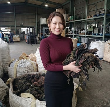 Dried Gracilaria seaweed 15% moisture and 3% impurity for agar-agar and Agriculture production