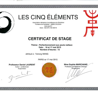 A French acupuncture training certificate from Les Cinq Éléments for radial pulse training.