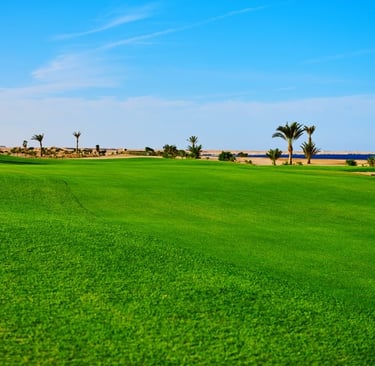 Golfing at Madinat Makadi championship course with Red Sea views
