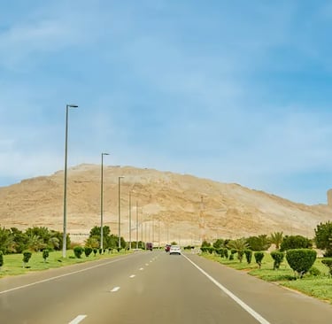 Discover Al Ain's landmarks, oases, Jebel Hafeet views, camel market, and rich traditions