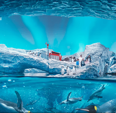 SeaWorld Entry Ticket