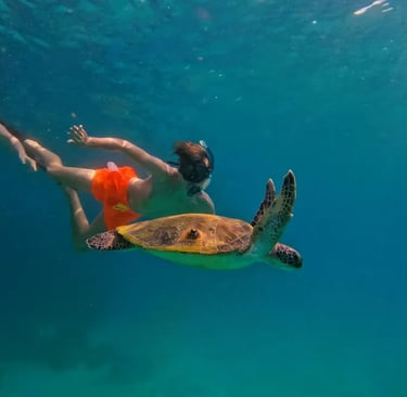 Snorkeling with Turtles in Fujairah