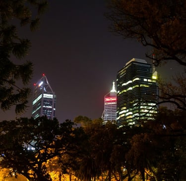 Nighttime view of city skyscrapers framed by silhouettes of trees, with illuminated buildings glowing against the dark sky.