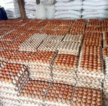 global egg market, global egg supply, eggs supplier, global egg supply chain, global producer eggs