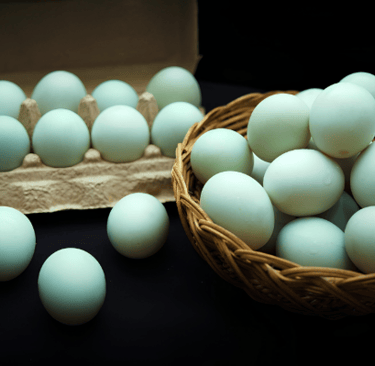 salted eggs, salted egg, salted duck eggs, telur asin