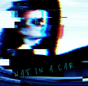Nat in a car