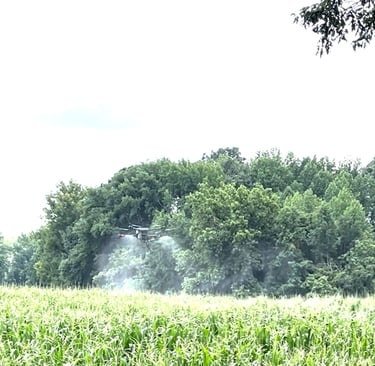 Hutch Drone Pro flying a dji T40 Crop Drone Spraying Fungicide on Corn on a hilly field
