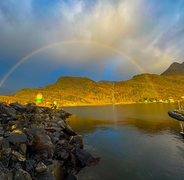 Fish and chips servert i takeaway-boks hos Maritime Munchies i Moskenes, Lofoten