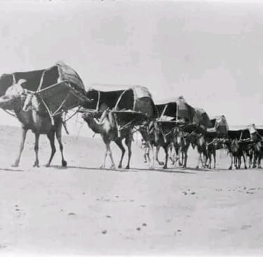 Ancienne caravane du hadj