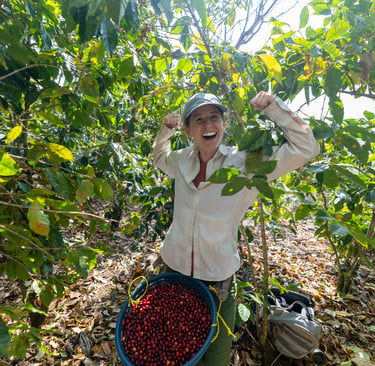 a woman in a white shirt and hat holding a bucket of organic, single-origin coffee beans
