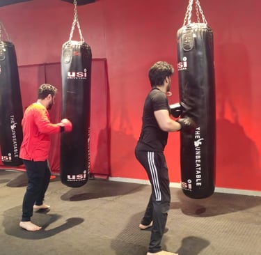 Best mma classes in Delhi