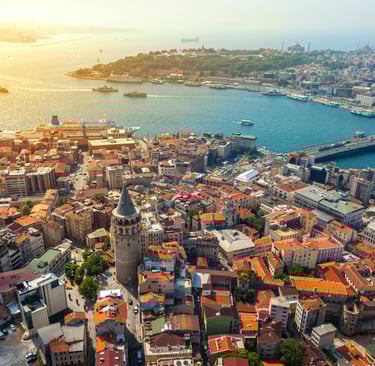 İstanbul Temizlik Şirketi