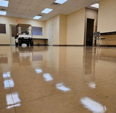 wax, shinny floor, stripper and wax