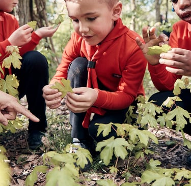 A young person closely examining a leaf surrounded by friends in woodland.