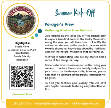 Forager's View