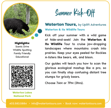 Waterton & Its Wildlife Tours